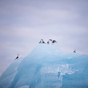 Monitoring our impact