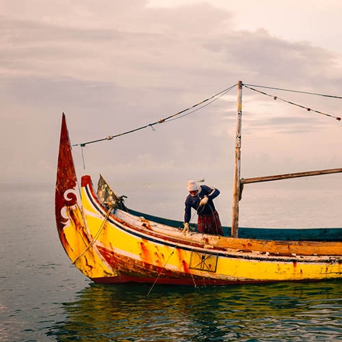 Safeguarding Indonesian blue swimming crab fisheries