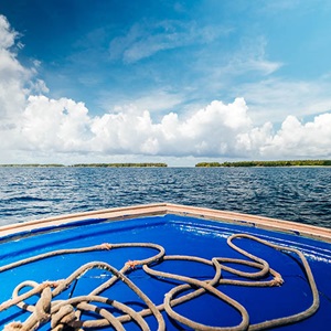 Evidence Requirements Framework