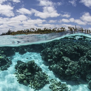 The Risk-based Framework