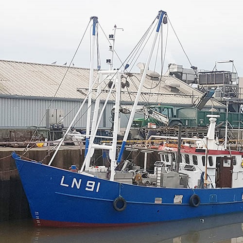 Mapping risks to endangered species in the North Sea Wash Brown Shrimp Fishery