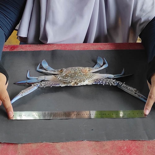 Using DNA to identify bycatch species