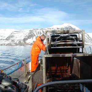 Testing novel seabird bycatch mitigation in Iceland lumpfish fisheries