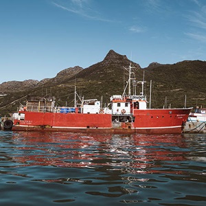 Protecting vulnerable species and habitats in the South African longline hake fishery
