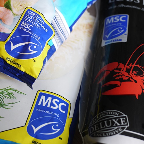 Que signifie le label MSC ?