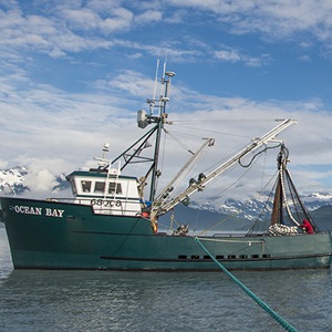 Reports and brochures