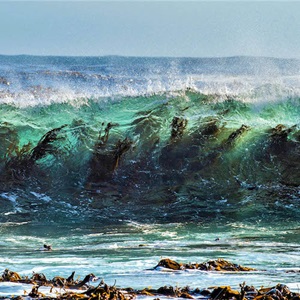 Briefings and statements