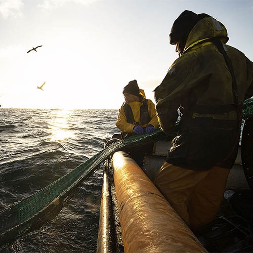 Developing our requirements