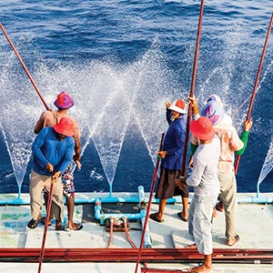 Sustainable fishers' stories