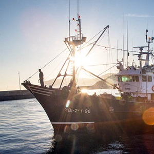 Reports and brochures