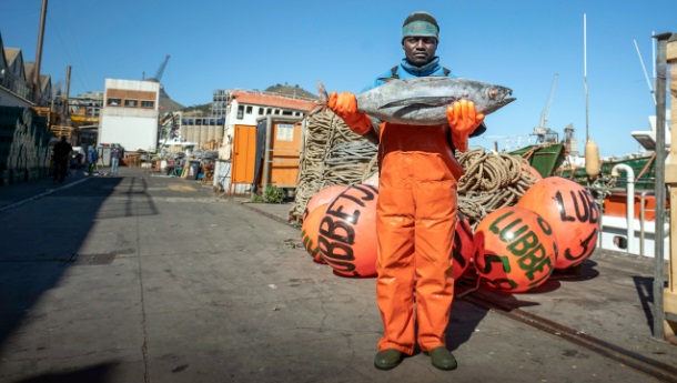 Albacore Tuna Pole and Line