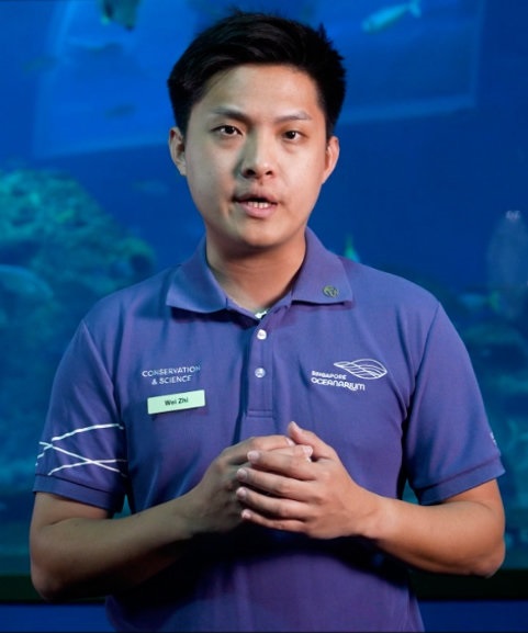 Lim Wei Zhi