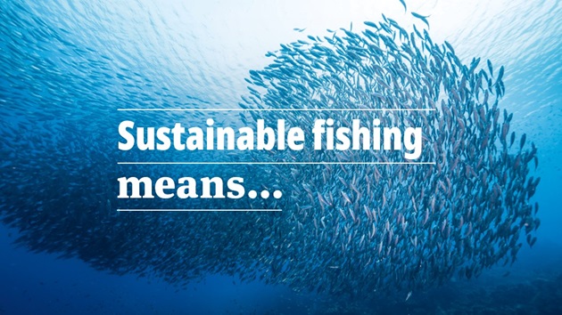 Kahoot quiz: What does Sustainable Fishing mean?