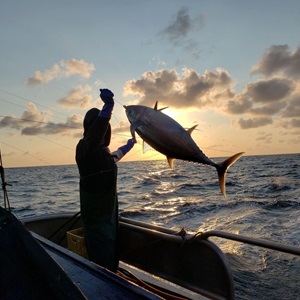 US TUNA MARKET ANALYSIS 2026