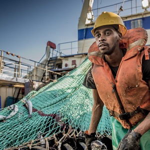 Learn about the MSC Fisheries Standard