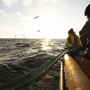 Sustainable Scotland: Future-proof fishing